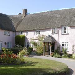 Devon
