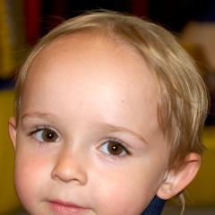 _ACS2866_Bib1_AL (C) andy@boris.nildram.co.uk