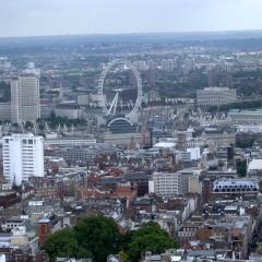 DSCN1279_bib
