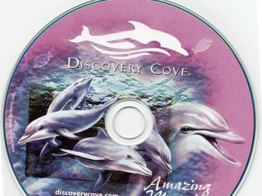 DiscoveryCove