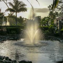 DSCN0405