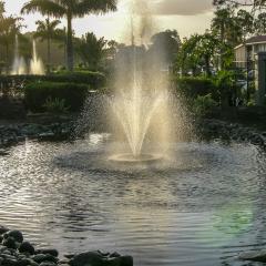 DSCN0406