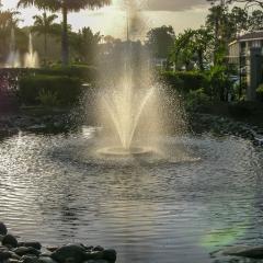 DSCN0407