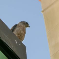 DSCN0414