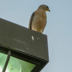 DSCN0415