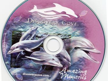 DiscoveryCove