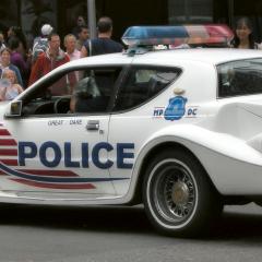 w_NY0006
