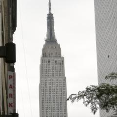 w_NY0013