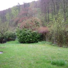 DSCN1427