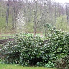 DSCN1428