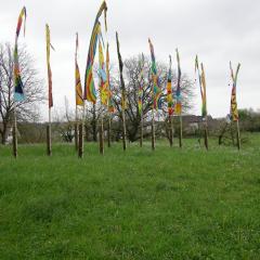 DSCN1439