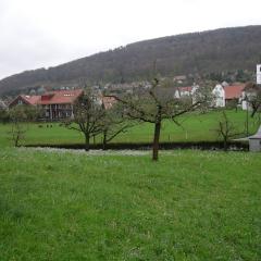 DSCN1444