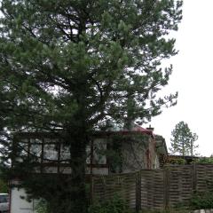 DSCN1446