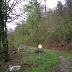 DSCN1448