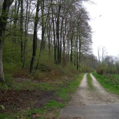 DSCN1449