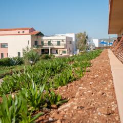 2008, Crete AS0_3082