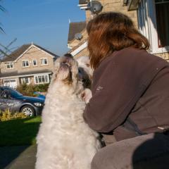 2008, Boris, Dogs _AS01796