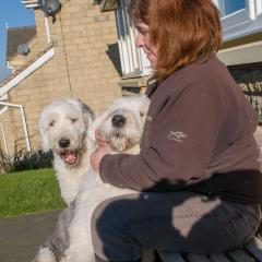 2008, Boris, Dogs, Merlin _AS01797