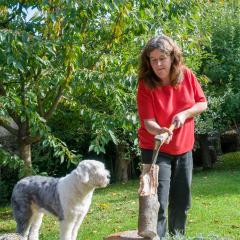 Boris, CH, Dogs, Garden, Jan _AS03839