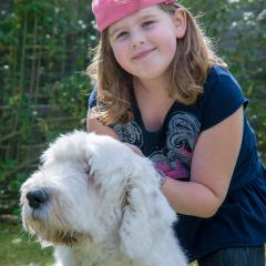 Boris, CH, Dogs, Garden, Tara _AS03842