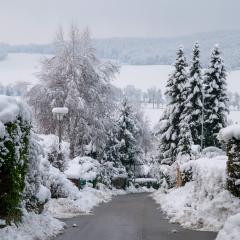 CH, Eschenstrasse, Home, Snow _AS04137