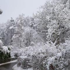 CH, Eschenstrasse, Home, Snow _AS04140