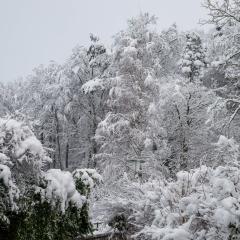 CH, Eschenstrasse, Home, Snow _AS04142