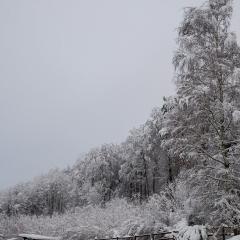 CH, Eschenstrasse, Home, Snow _AS04145