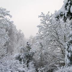 CH, Eschenstrasse, Home, Snow _AS04150