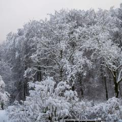 CH, Eschenstrasse, Home, Snow _AS04151