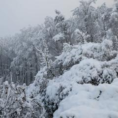 CH, Eschenstrasse, Home, Snow _AS04152
