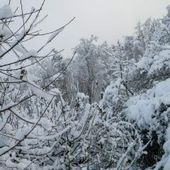 CH, Eschenstrasse, Home, Snow _AS04153
