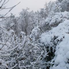 CH, Eschenstrasse, Home, Snow _AS04154