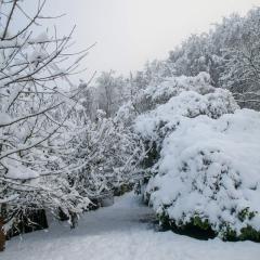 CH, Eschenstrasse, Home, Snow _AS04155