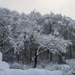 CH, Eschenstrasse, Home, Snow _AS04156
