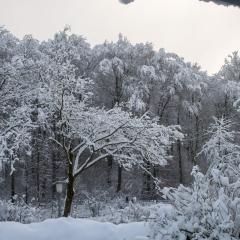CH, Eschenstrasse, Home, Snow _AS04157
