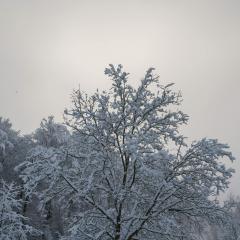 CH, Eschenstrasse, Home, Snow _AS04158