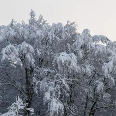 CH, Eschenstrasse, Home, Snow _AS04160
