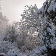 CH, Eschenstrasse, Home, Snow _AS04175