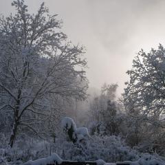 CH, Eschenstrasse, Home, Snow _AS04176