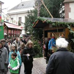 DSCN1924