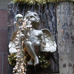 DSCN1927