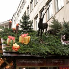DSCN1932_b