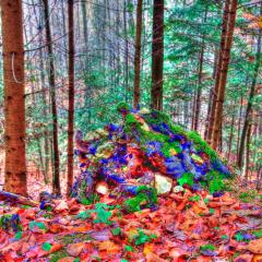_MG_0115hdr