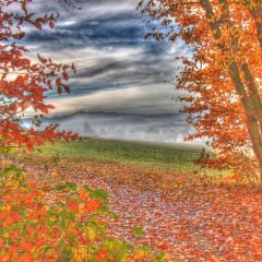 _MG_0125hdr