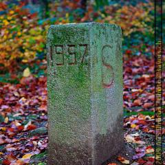 _MG_0133
