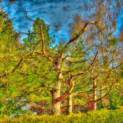 _MG_0166hdr