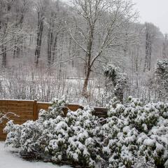 2009, Rodersdorf, Winter IMG_0717