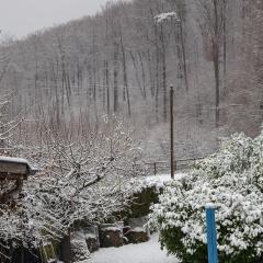 2009, Rodersdorf, Winter IMG_0718