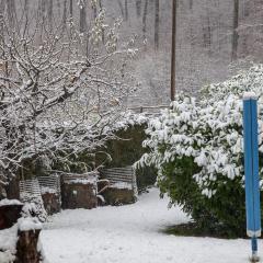 2009, Rodersdorf, Winter IMG_0720